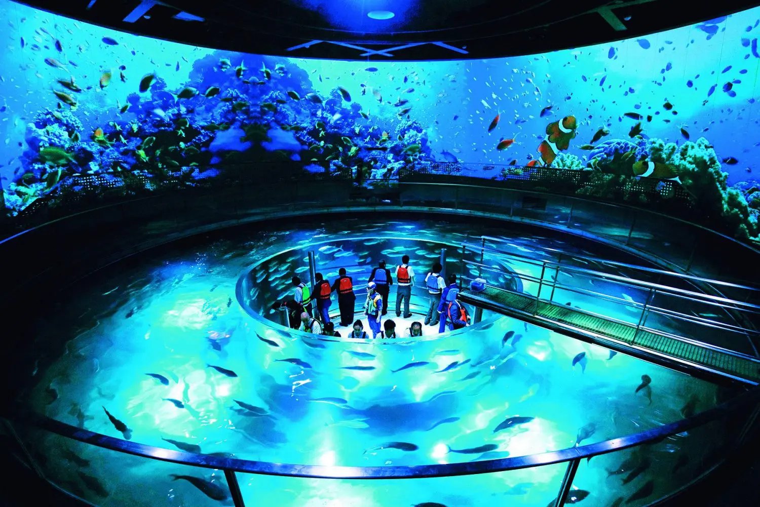 🐠 키노사키 마린월드 이미지 7